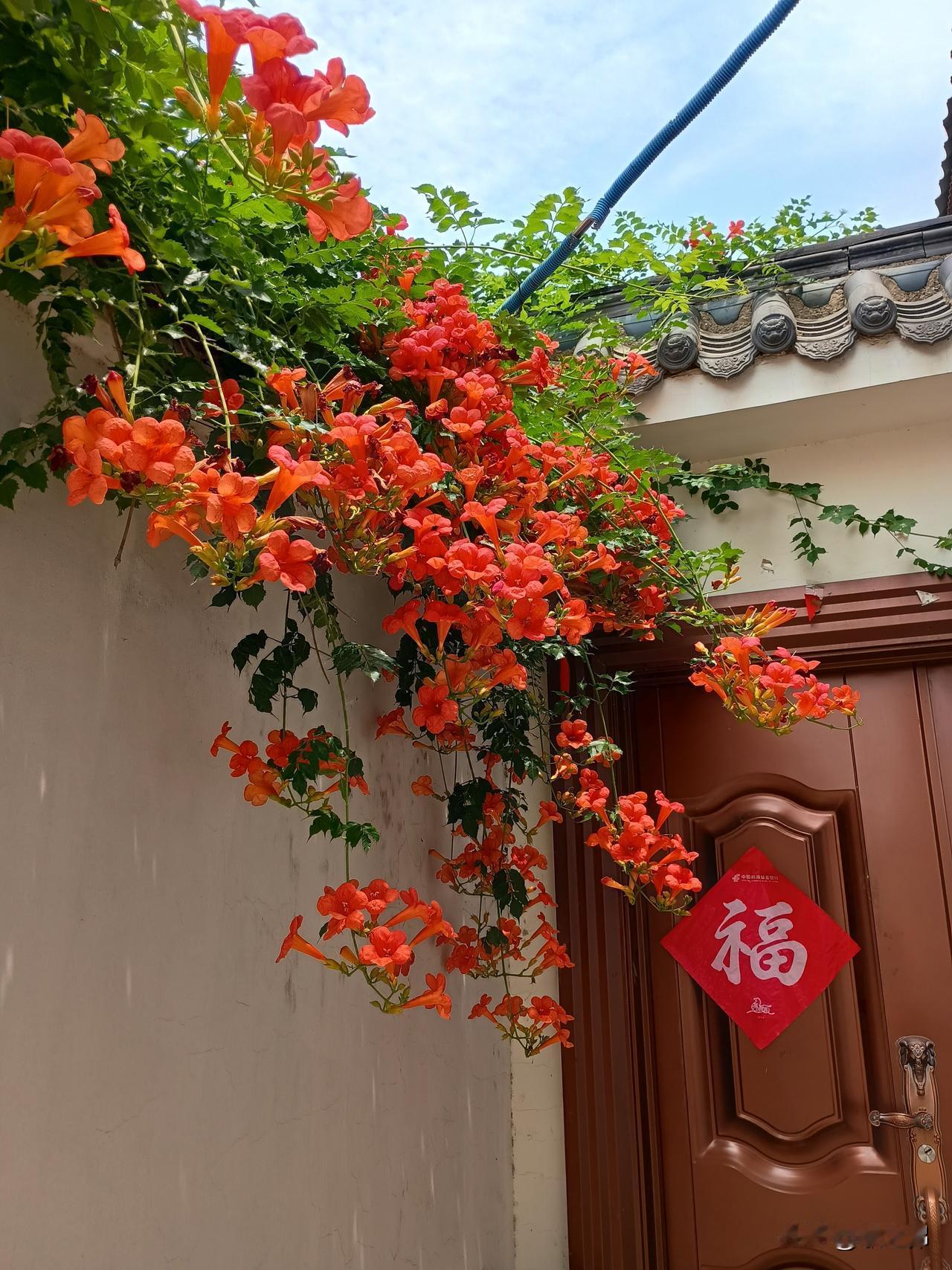 梅兰竹菊养心性
雪月风花育闲情