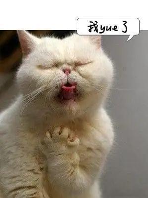 姥姥说上次吃还是在旧社会我能说已经被恶心到了么？过年几天肠胃不舒服，时常感到恶心