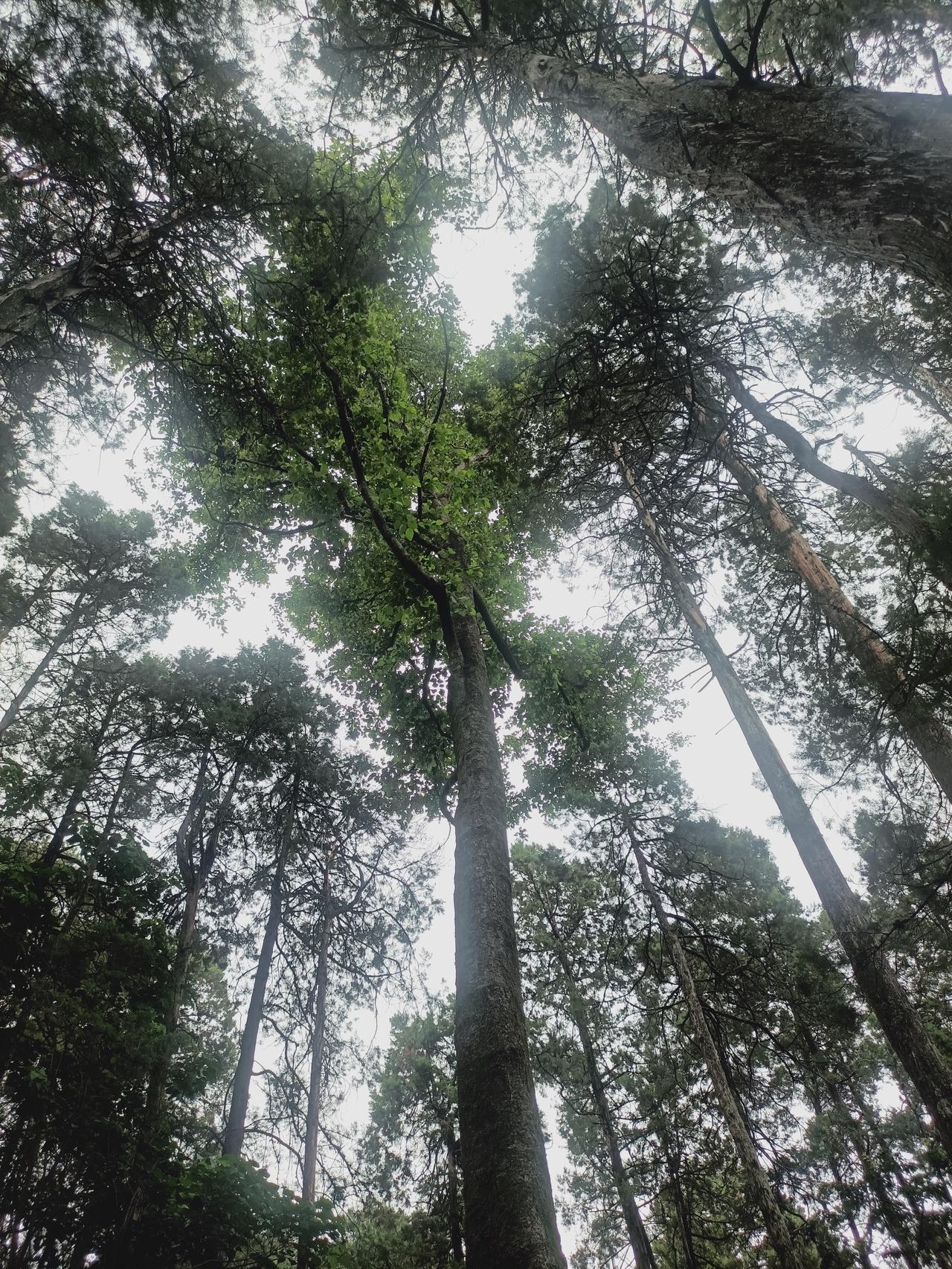 一路山色，随手拍一张风景照