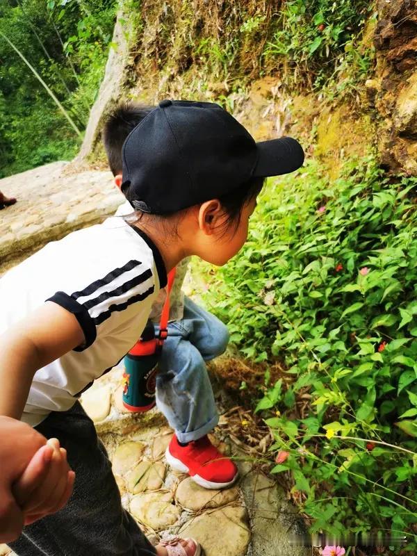 亲近大自然，别再盲目“打卡”啦。现在好多人去自然景区，就是上车睡觉、下车拍照、回