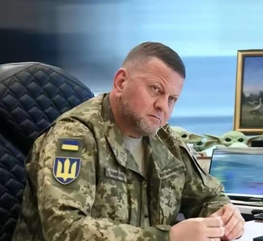 乌军前亚速旅参谋长说，战争就是有勇气承认计划行不通。
2023年反攻时，新组建的