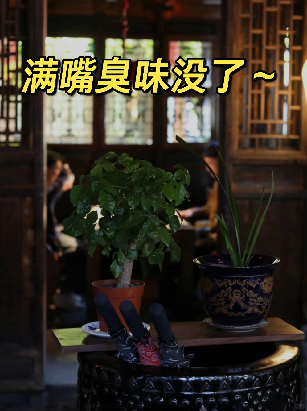 真心希望所有口臭的姐妹都能刷到‼️
