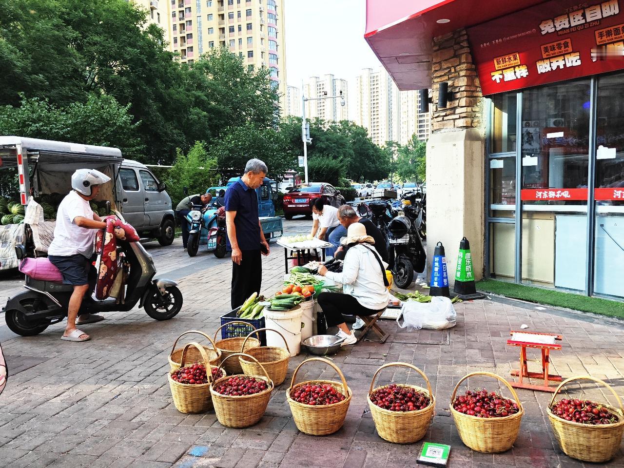 我所说的这樱桃是樱珠，那种普通的小樱桃早已完全退市了 。‌‌
这些樱珠老远看就是