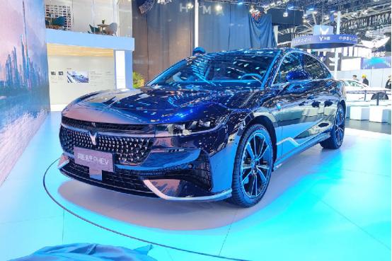 颠覆传统豪华，岚图追光PHEV会成为打破豪华混动轿车市场格局的新选择吗？
 
B