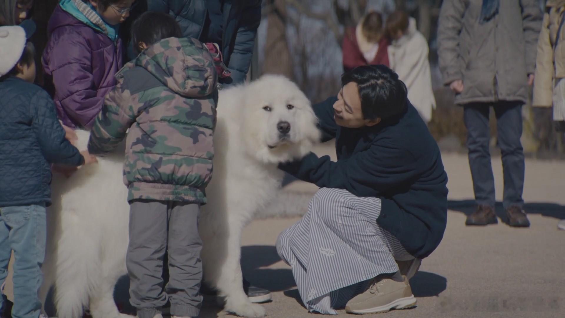 串剧了吧初恋DOGs冬日的什么呀，春日的什么呢成田凌