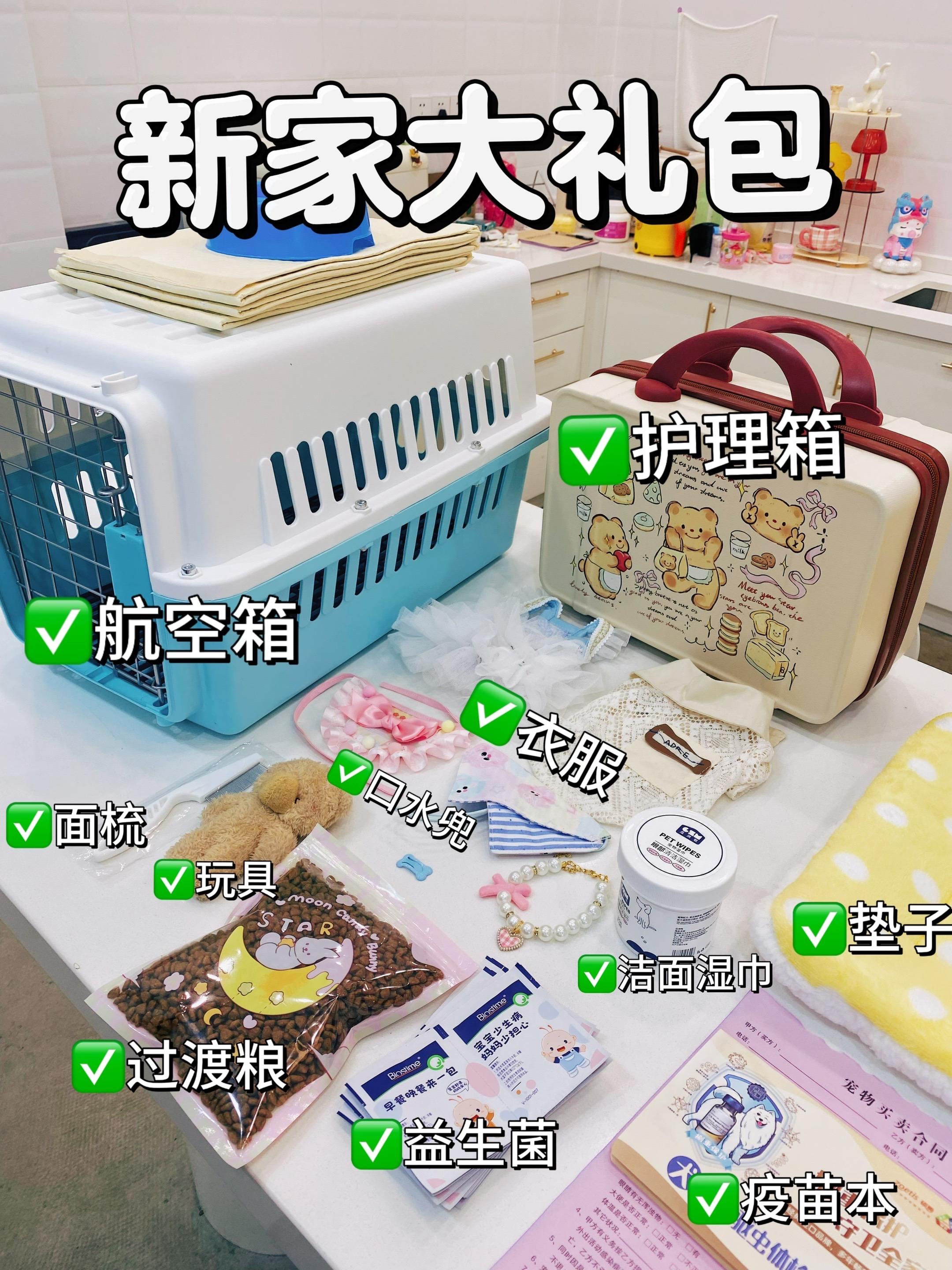 小雪的新家大礼包🎁。杭州雪纳瑞