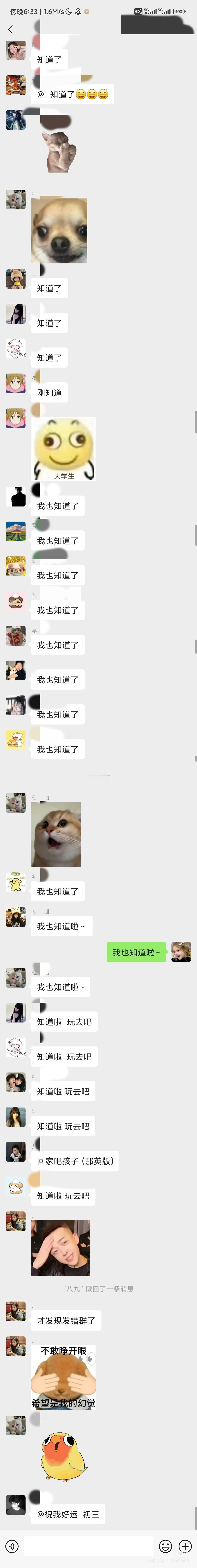 发错群后可爱的大学生们我的幽默灵感片场 ​​​
