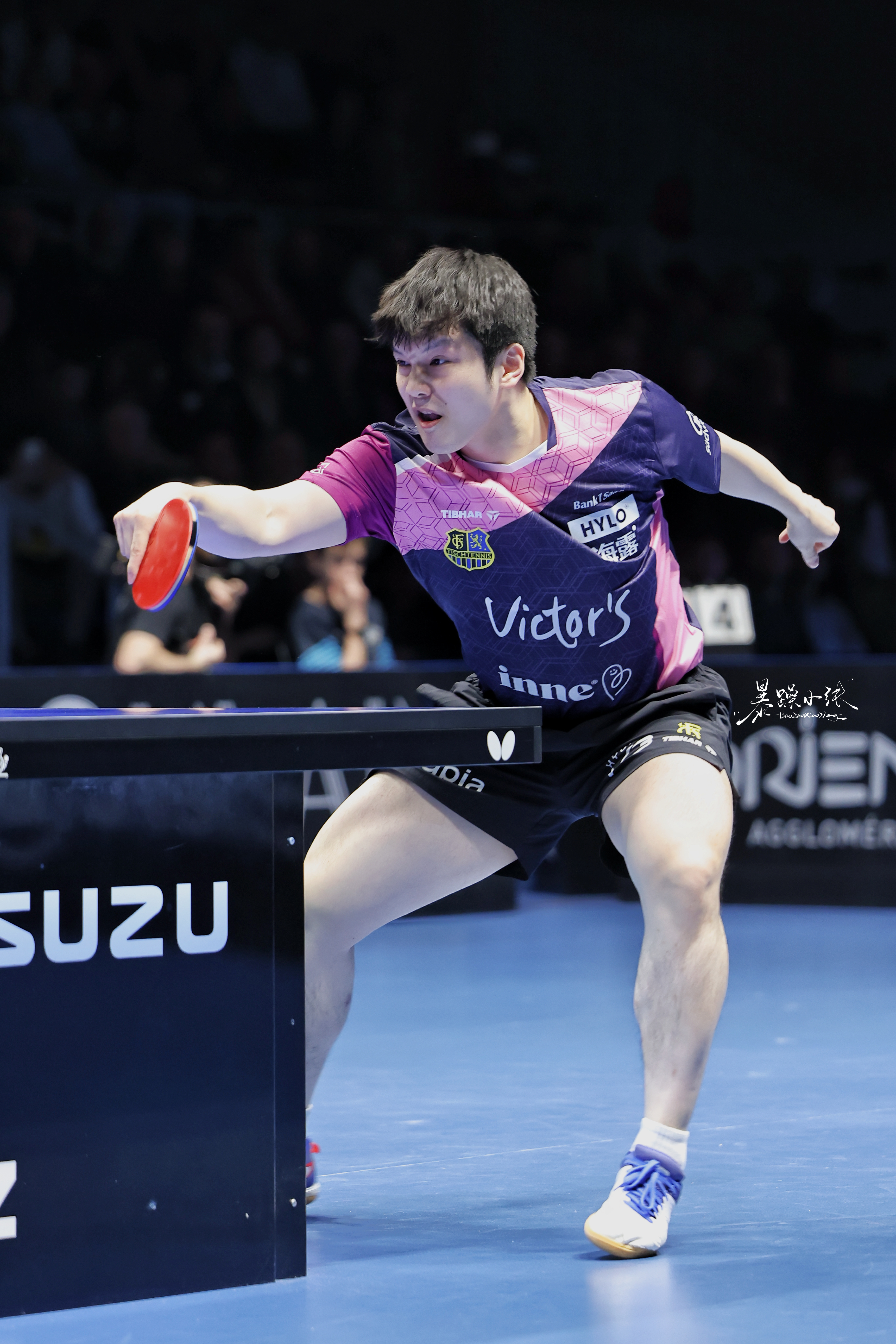 很久的瞬间 (电视剧《时光代理人》先行推广曲)樊振东