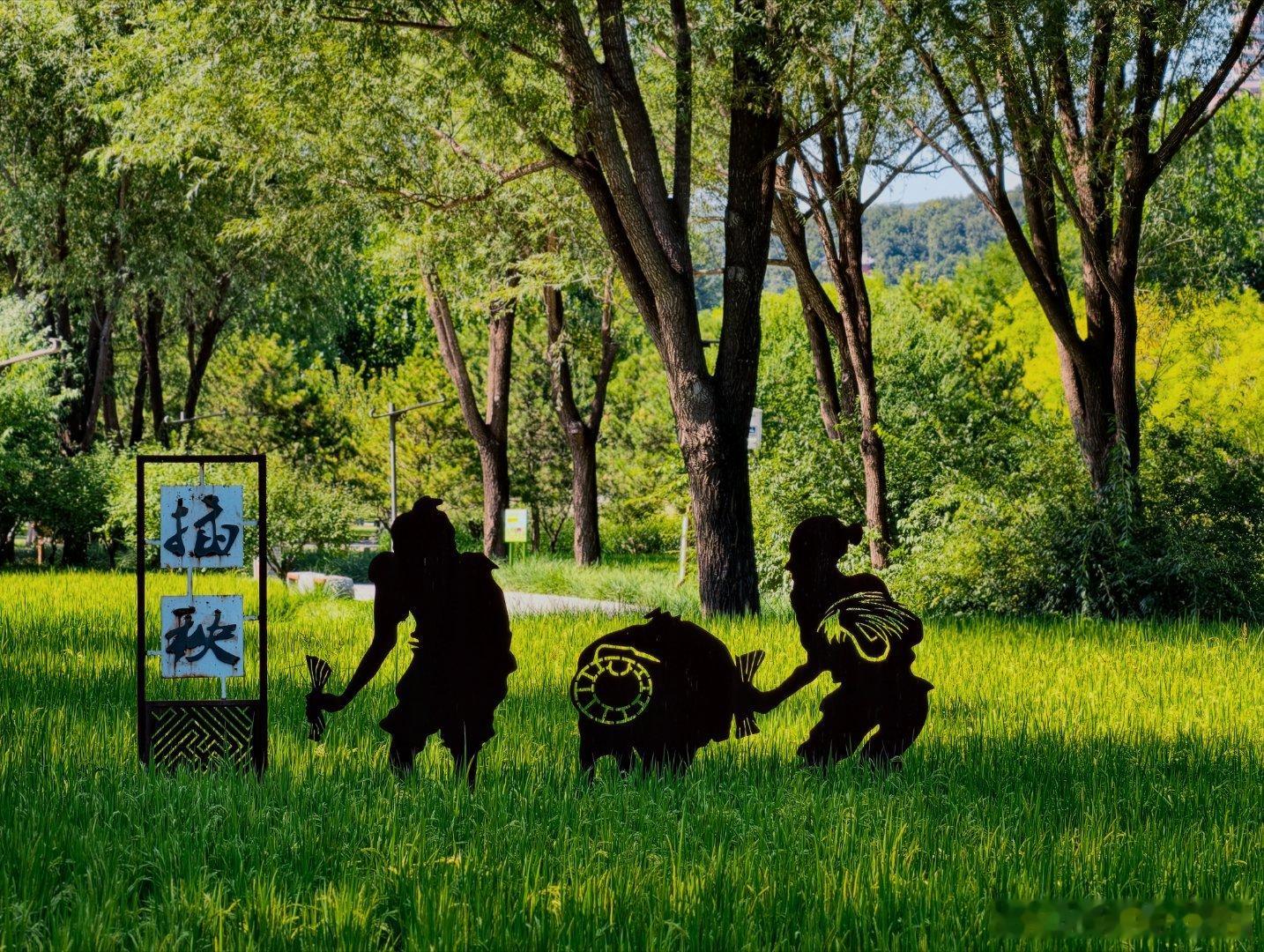 开学第一天好兆头​祝辛辛学子插秧必丰收[呲牙] ​​​