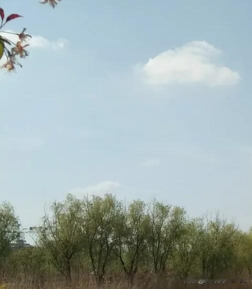 外交部发出赴日安全提醒，背后这三件事每个家庭都该知道

今天晚上，很多人的微信群