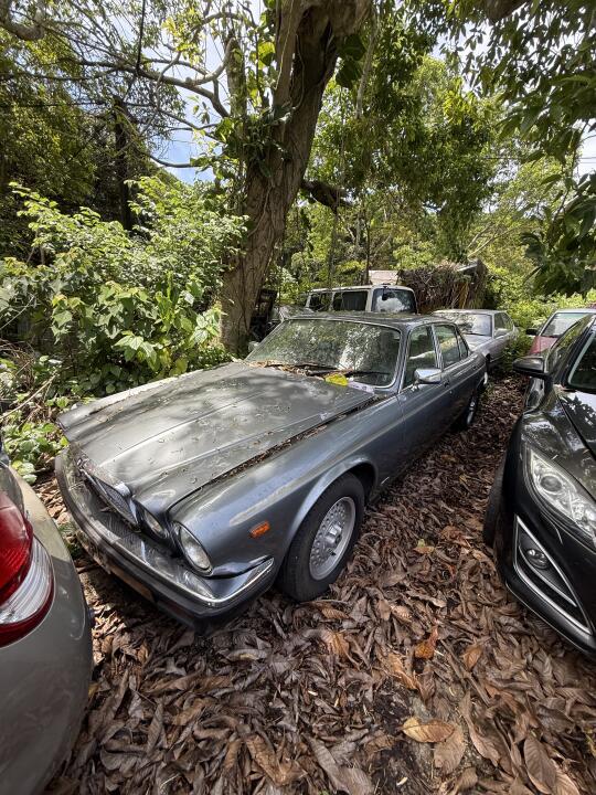 香港的宝藏在农村（三）