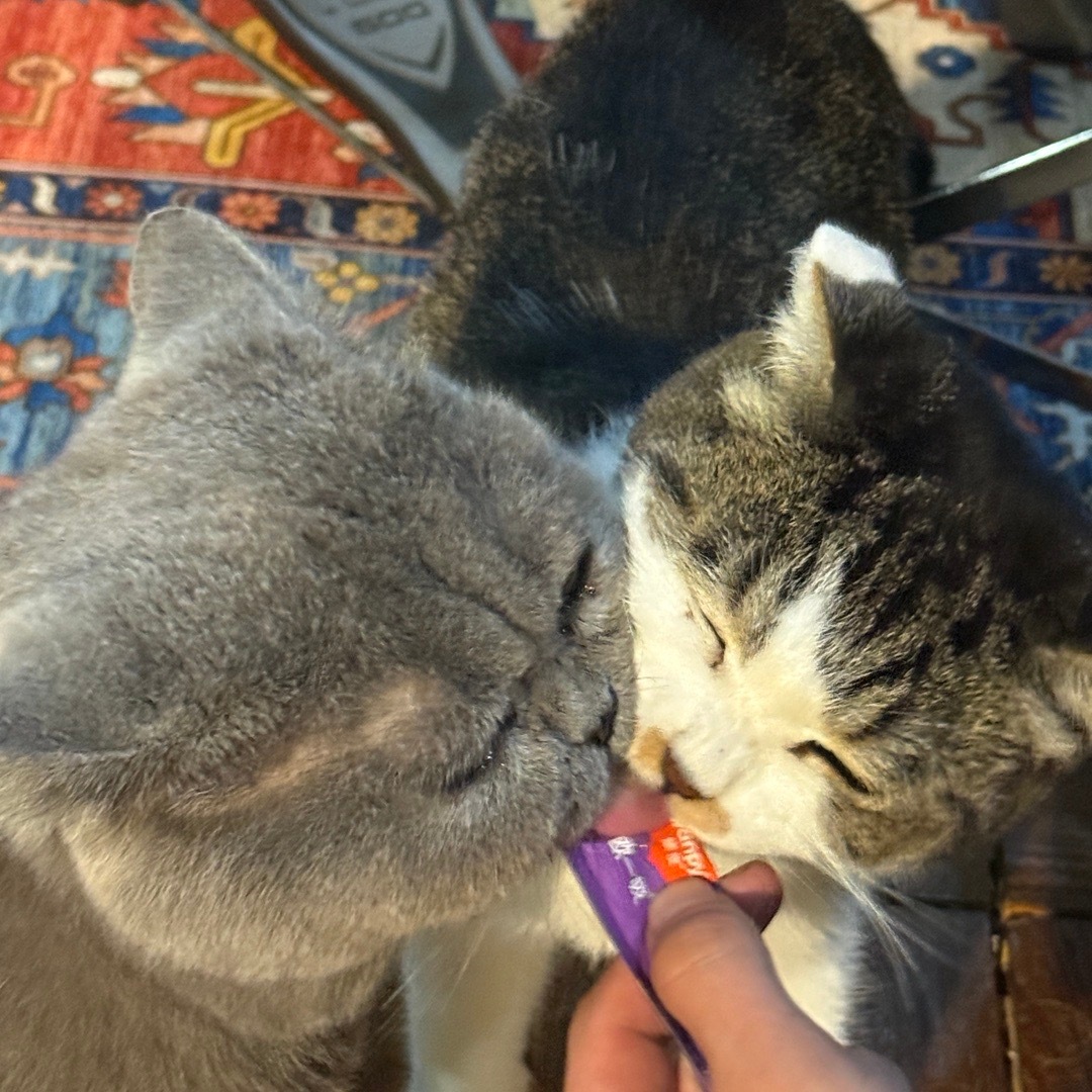 好想念跟妈妈和好朋友呆在一起的日子…>_