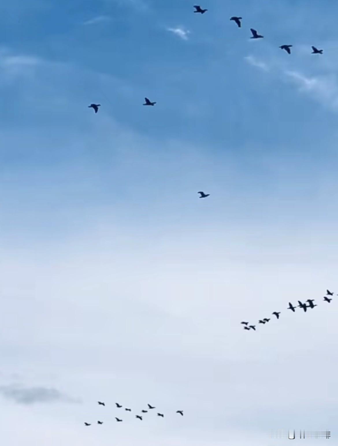 上联：船在水中走
   下联：鸟往空中飞