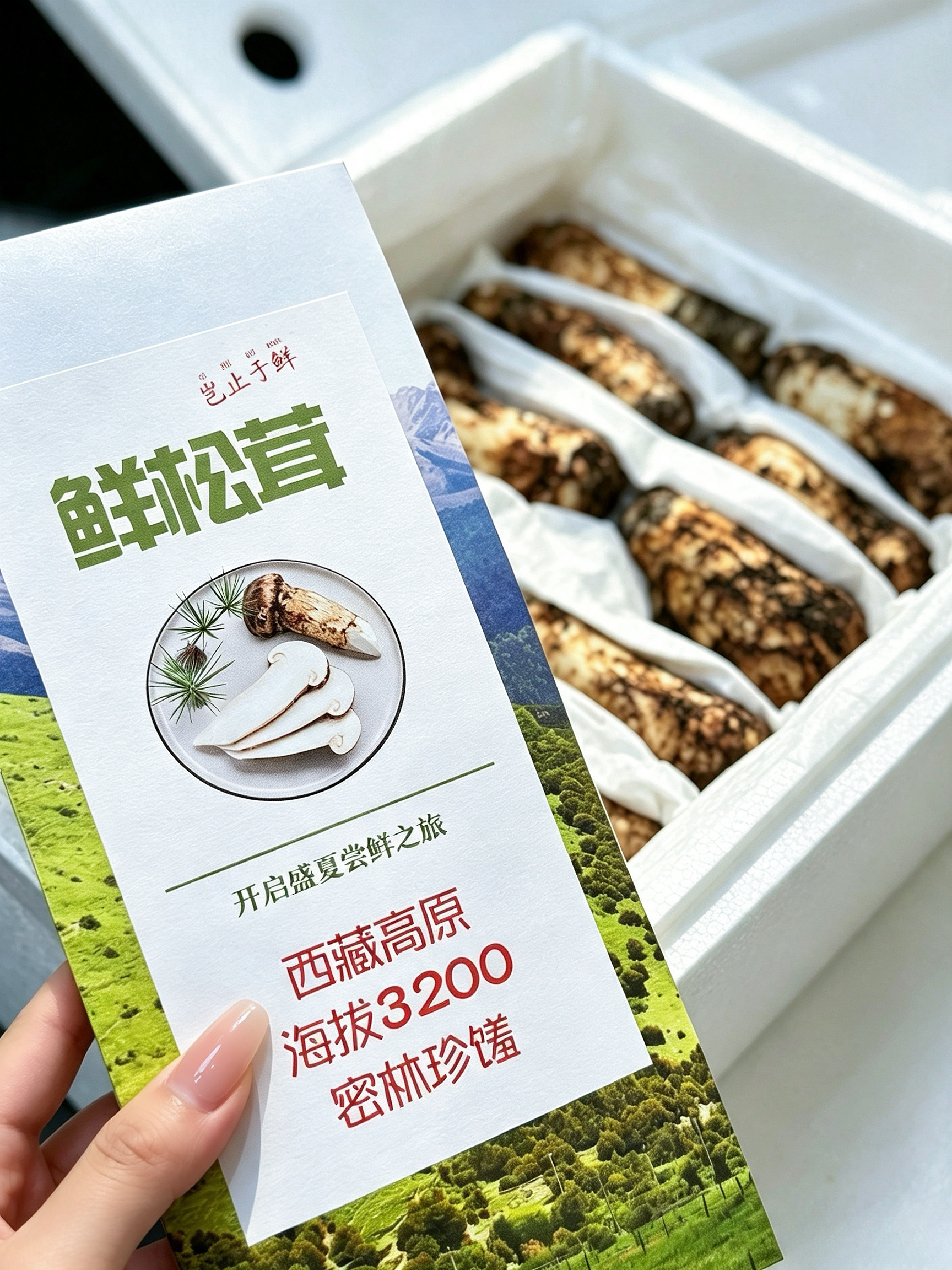 刚下飞机の高原鲜松茸🍄谢谢BOSS 👩🏻💻·收到第一时间喊跑腿送回家哈哈