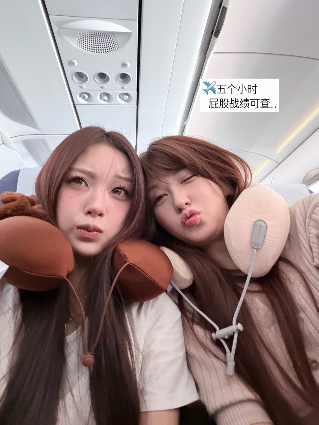 倒霉熊不是停播了吗。新加坡怎么刷新出一只 