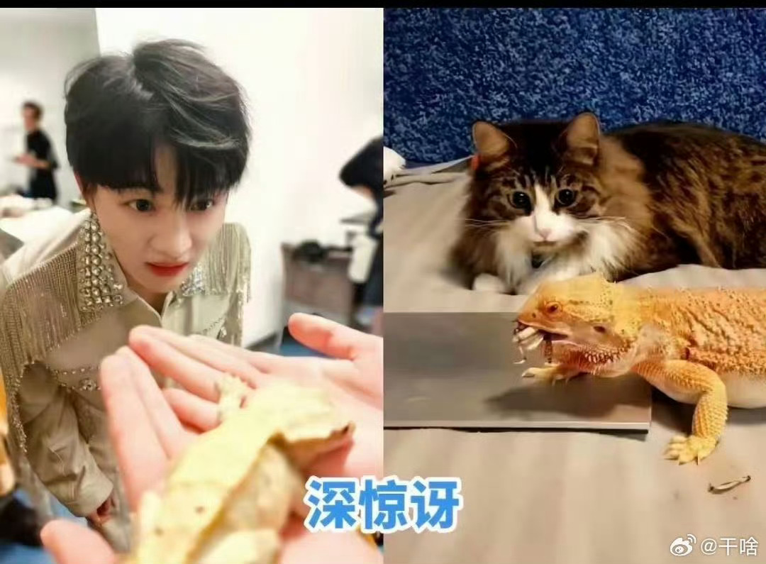 舞狮来了也得逗一逗周深谁懂啊!阅文IP盛典这段舞狮贴贴周深的画面真的萌到心化!之