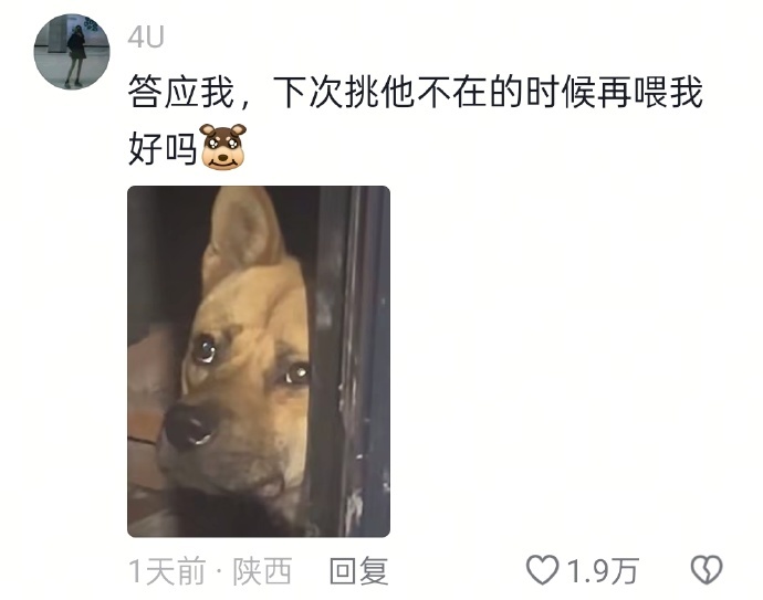 狗：你确定你爱吃这个？ ​ ​​​
