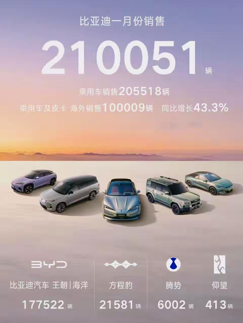 比亚迪1月新能源汽车销量210051辆尽管同比有所下降，但比亚迪单月21万+的销