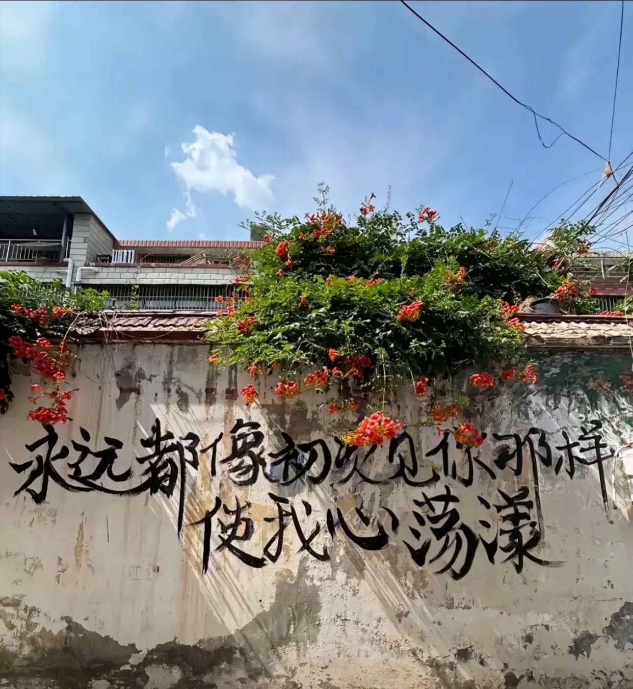 我多想和那些光阴永远住下来 程艾影
