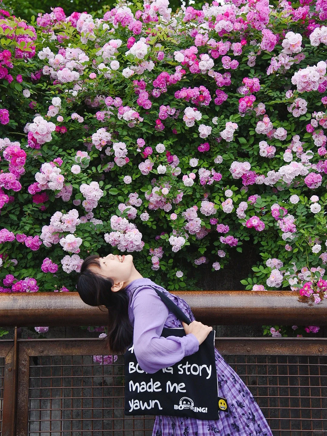 5.2日实拍📍上海杨浦滨江100万朵蔷薇花开啦