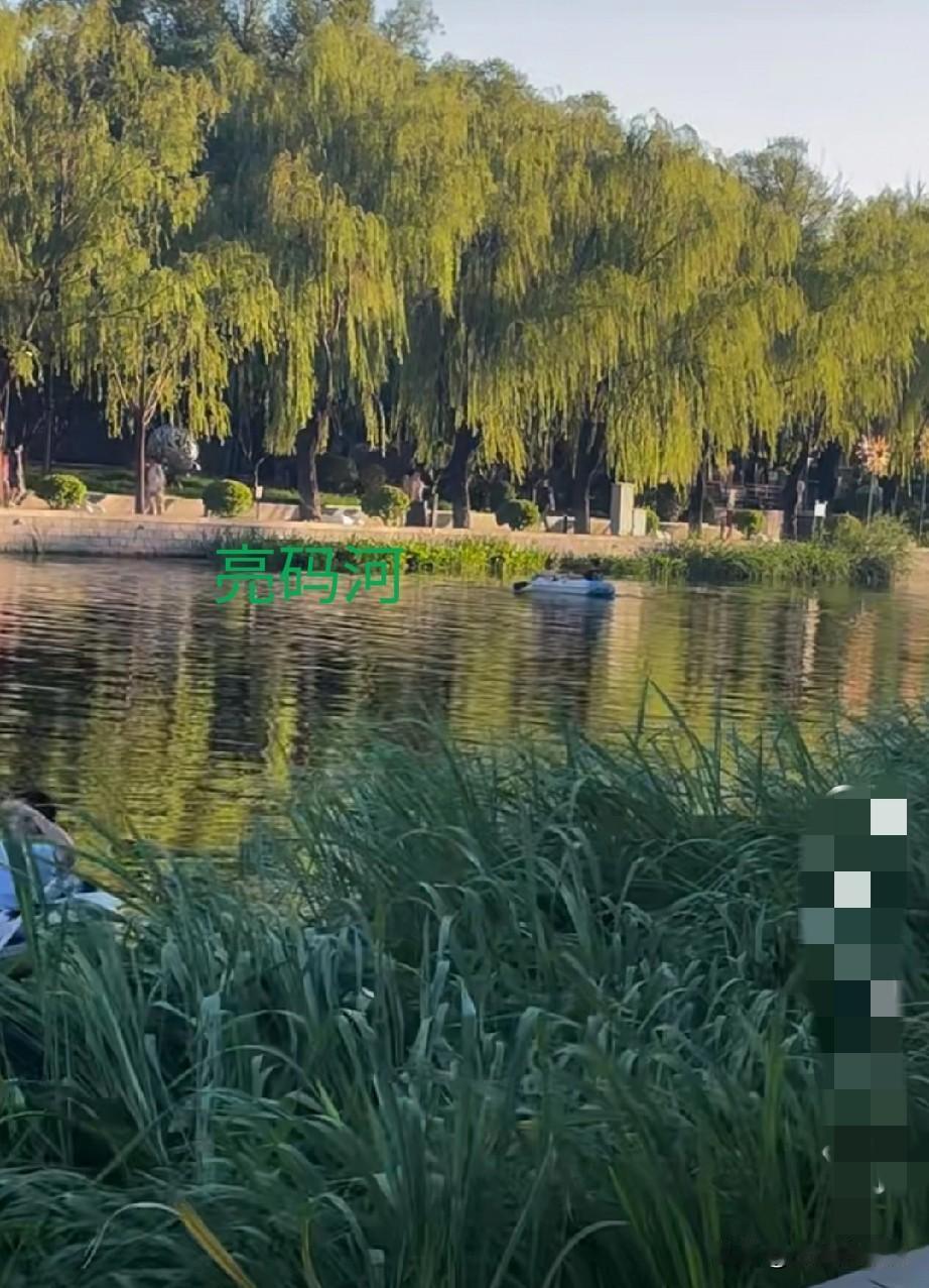 奇葩奇闻
近日，北京亮马河发生了一件令人义愤填膺的事！印度人竟在亮马河里泡澡了，