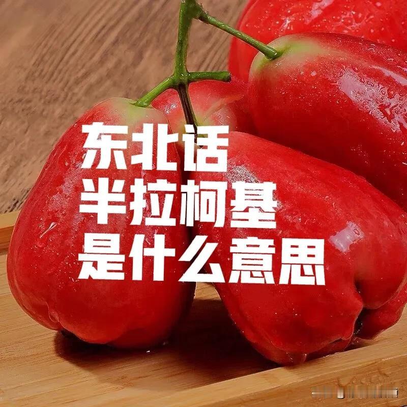 东北话“半拉柯基”是什么意思？这个词真的挺有意思的？我想了很久，一点头绪都没有，