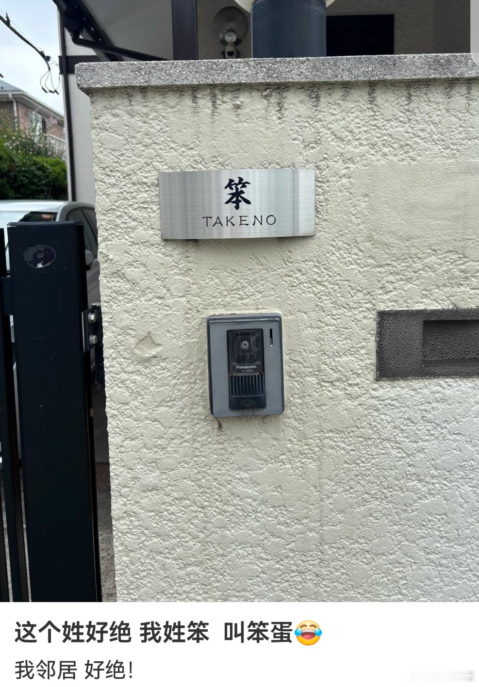日本这个姓有点骚，请问姓笨能不能取出一个好名字来？ 