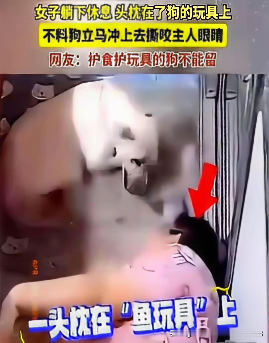 畜生永远是畜生！2024年媒体报道，黑龙江﹣女子躺下休息，头枕在了狗的玩具上，没