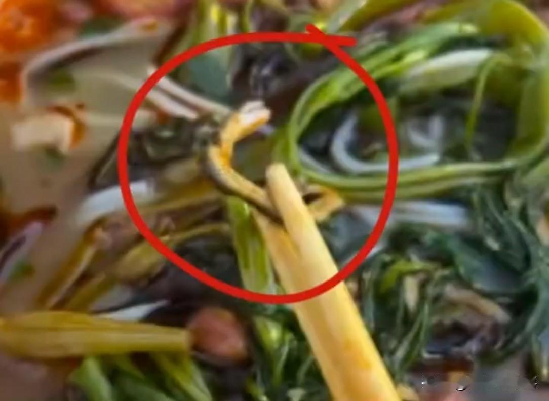 广西一女子吃螺蛳粉吃出小蛇，喊来摊主，本以为店家会道歉，结果对方直接倒掉粉销毁证