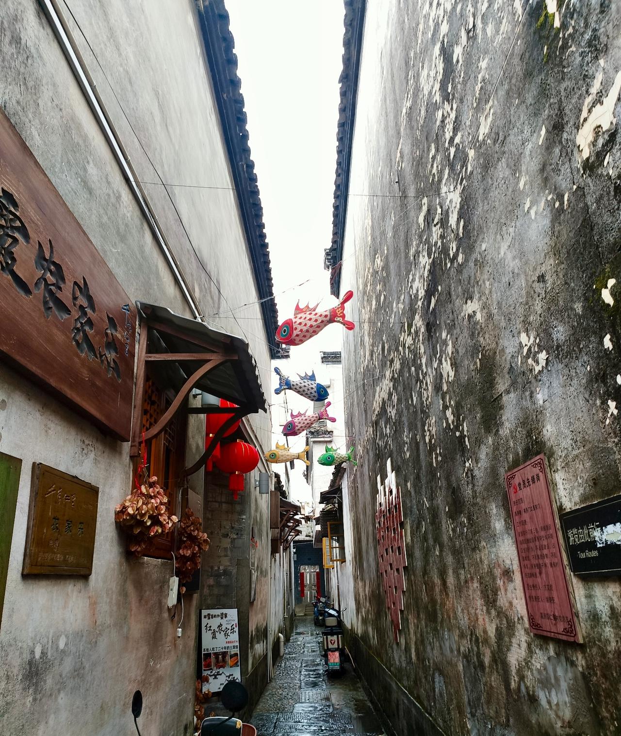 国庆假期，南京人都选择去外地旅游，把城市空间让给外地游客。
今天是国庆假期第三天