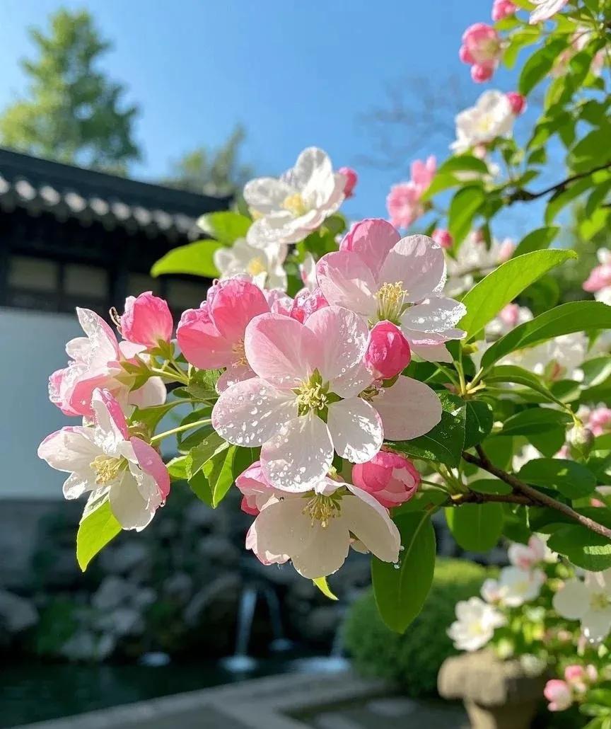 大姨喊女生去她家吃饭，女生没想很多，大家住得近，平时大姨家买了好菜就会叫她们去吃