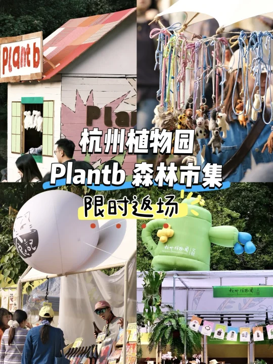 杭州秋季Plantb森林市集🌳限时回归❗️❗️
