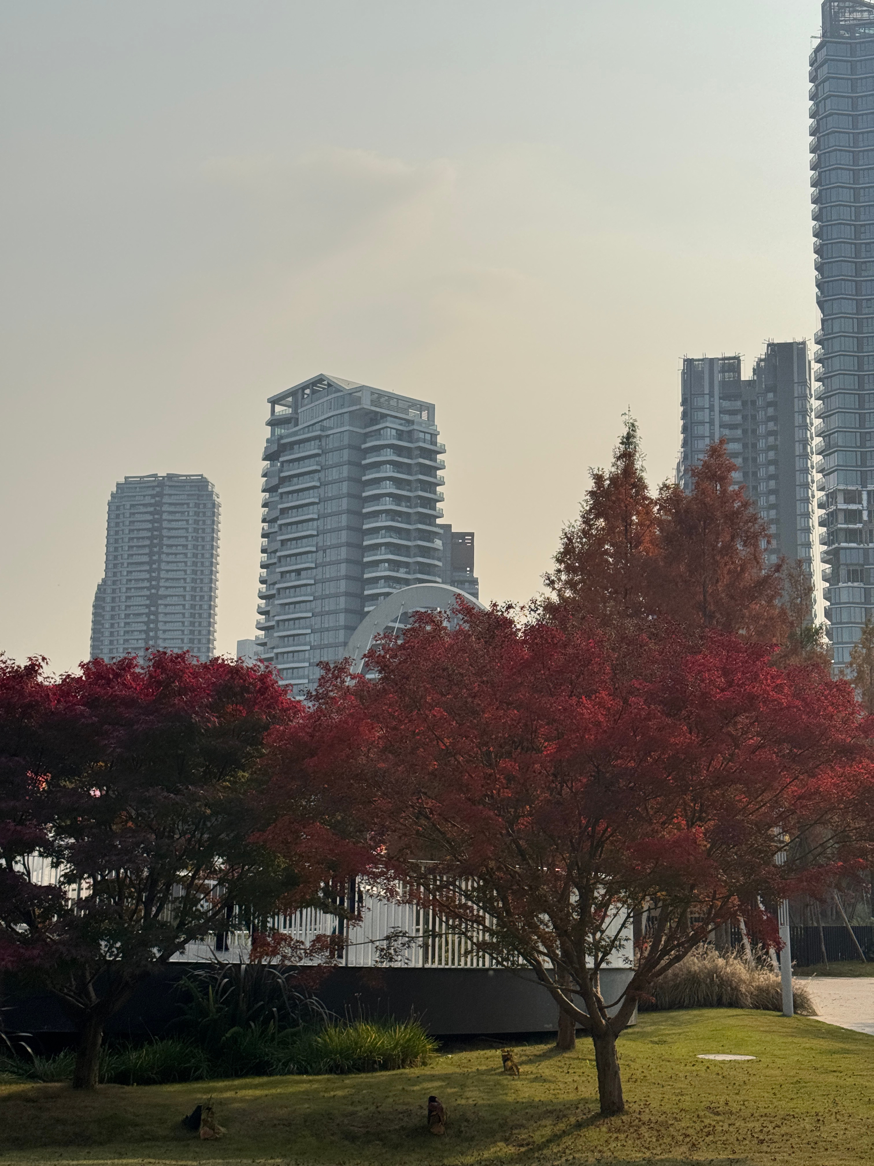 随手拍一下我的日常plog 成都