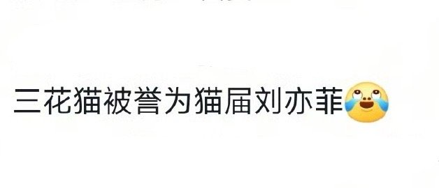 你的指甲盖真像刘亦菲三花猫：人类骂人可真脏🤬 ​​​