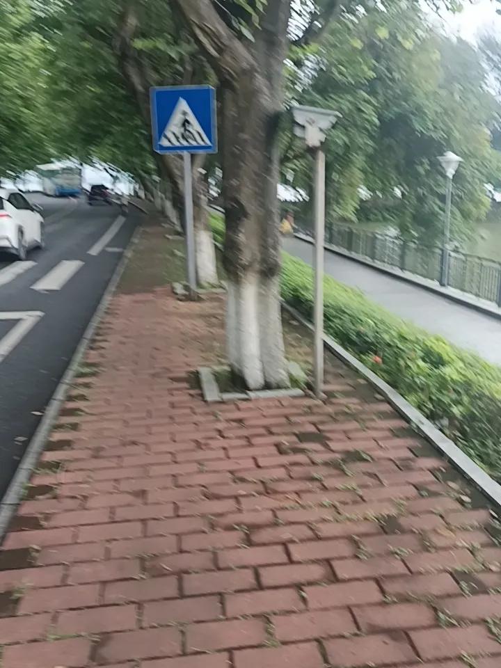 敢相信吗？这里就是肇庆的七星岩了
这里环境真的很好，尤其空气非常清新