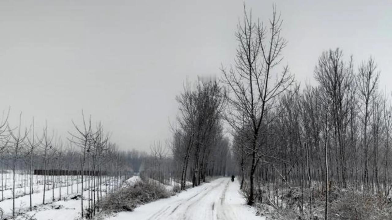 湖北高速因冻雨大雪堵塞，成了全国的大新闻。有关部门积极应对，高速得到了畅通，这是