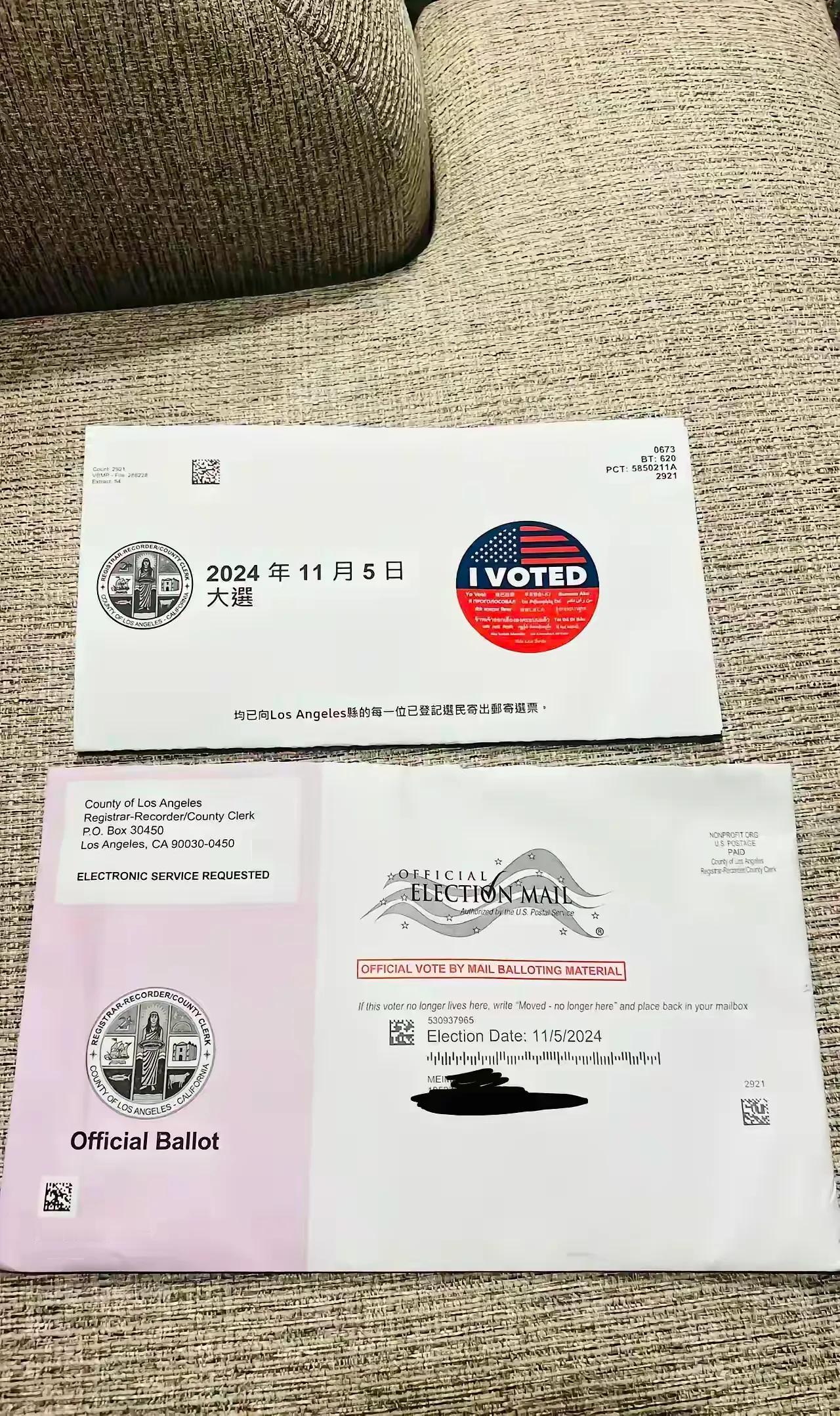 美国大选了，选票还有中文版的。我该投给谁？是的，我投哈里斯！