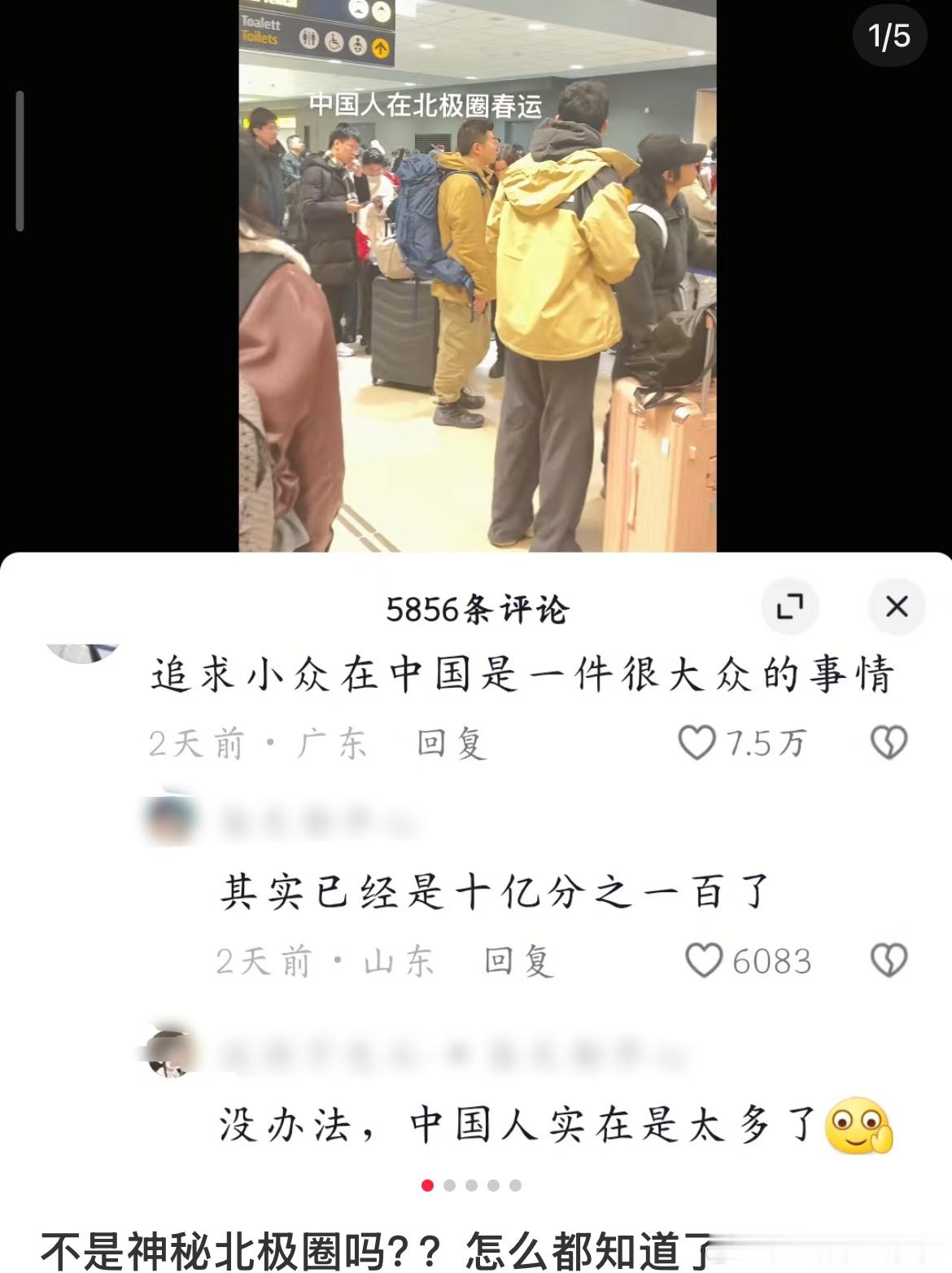 你不说这是北极，我以为沈阳北呢[笑cry] 