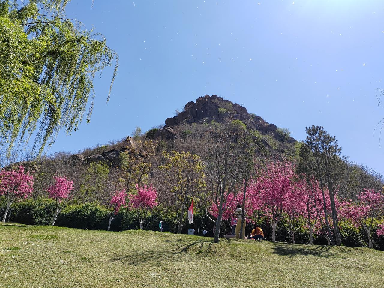 ​北京一老头把 850 万房屋拆迁款，给了儿子 500 万，给了女儿 350 万