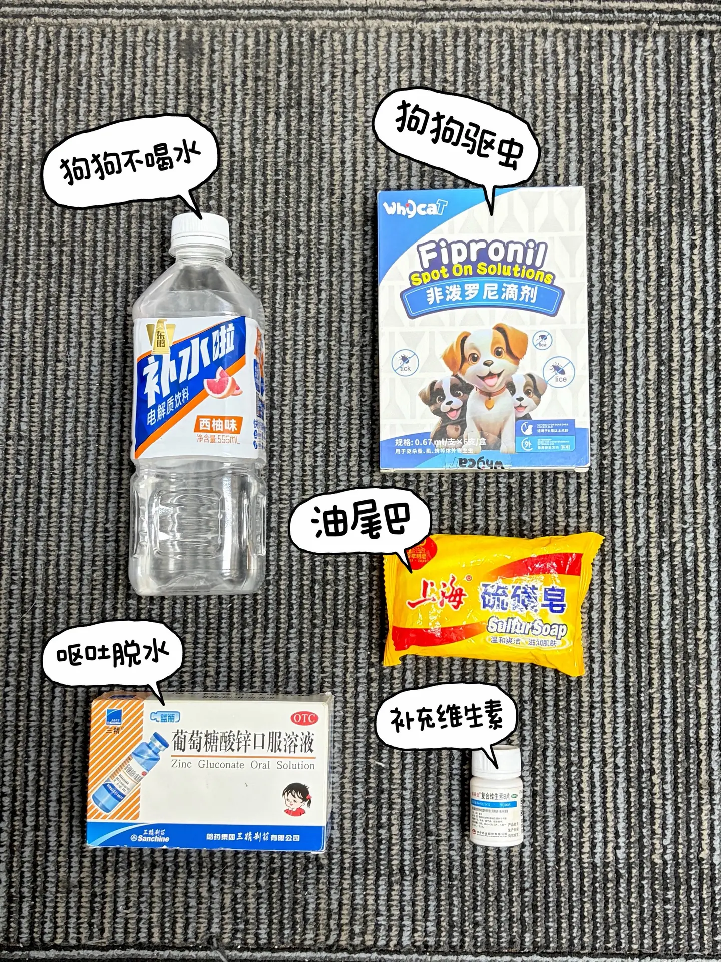 新手养狗人必看省钱攻略！