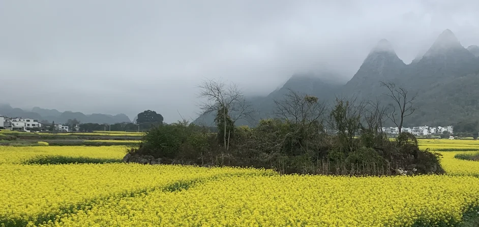 庄子听息法（心斋）真正的窍门是第一步