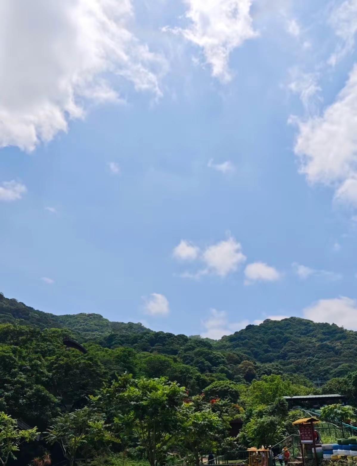 广州二龙山·星罗纪大森林景区 广州二龙山星罗纪大森林景区 周末去哪儿 亲子游玩好