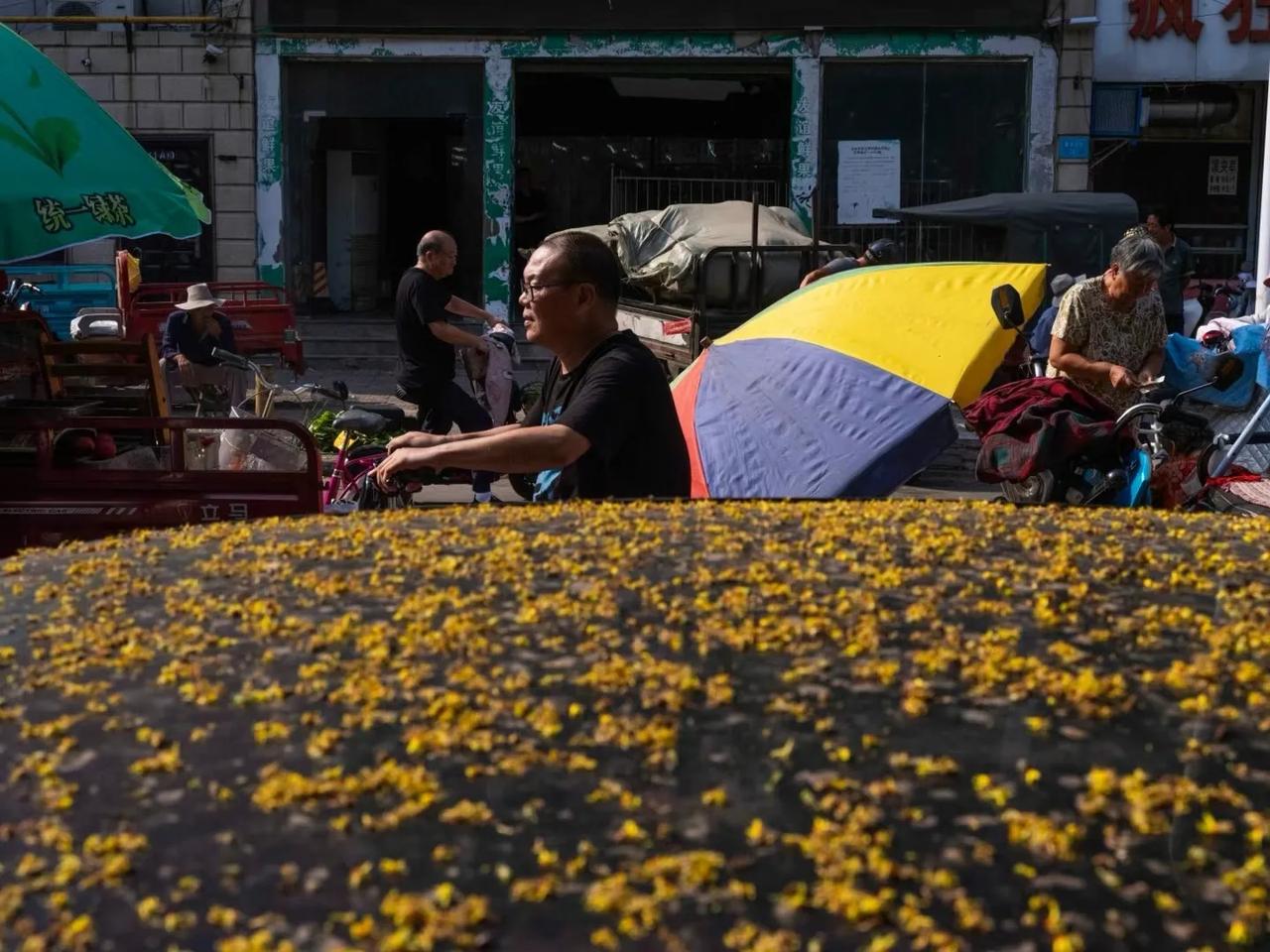 秋天到了，小城市的日常集市，基本上都是老年人在采购。在杂乱的集市上拍照，是最让人