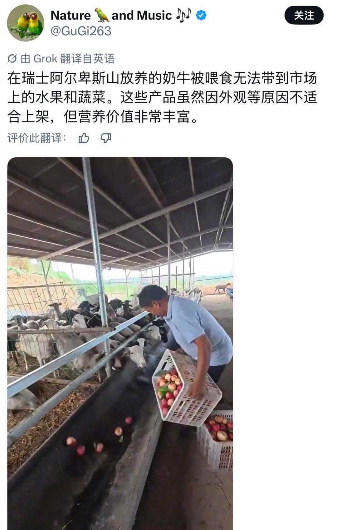 懂了瑞士阿尔卑斯山也自古以来了。。。