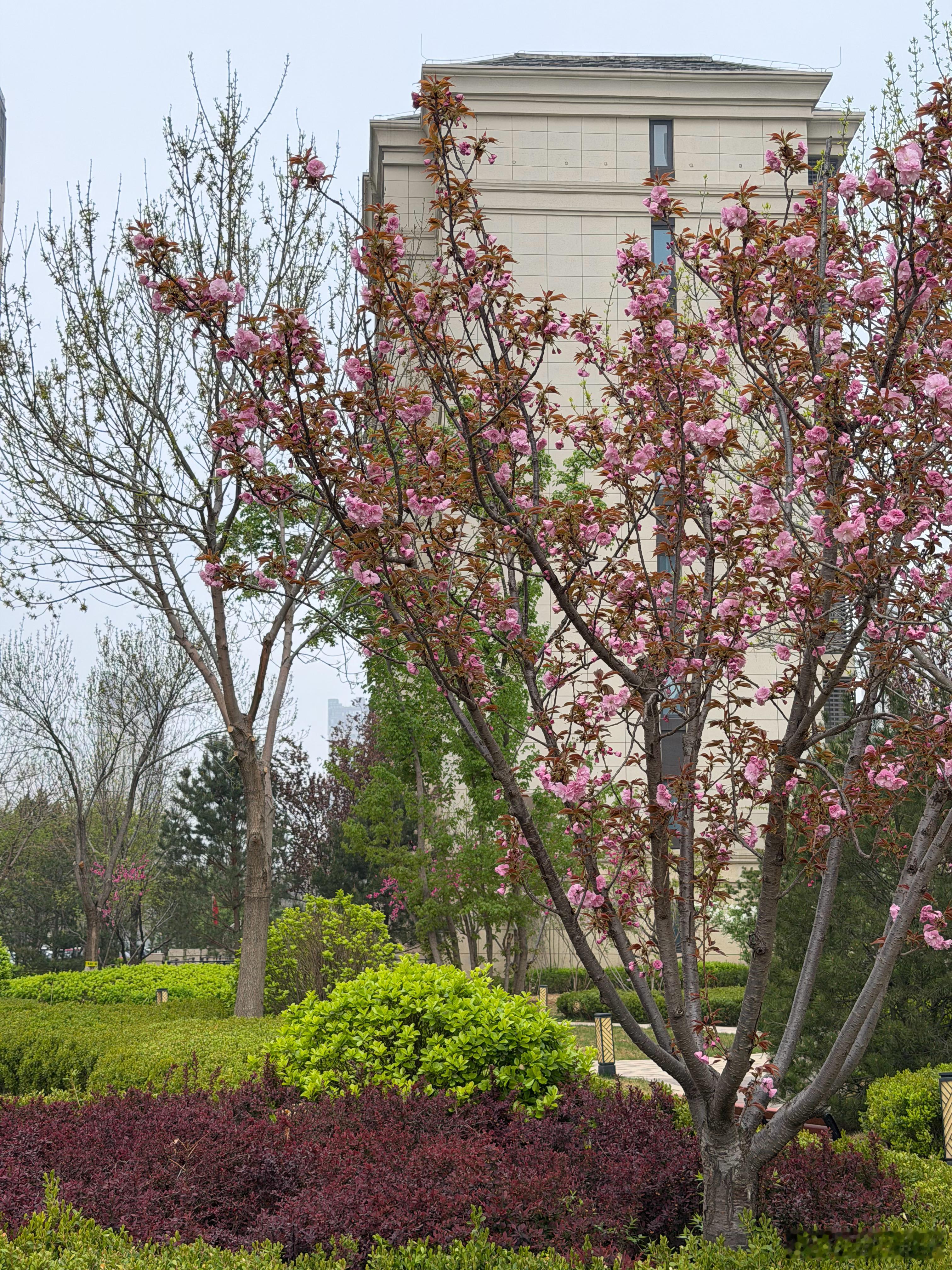 早呀春天真的是充满生机的季节早安