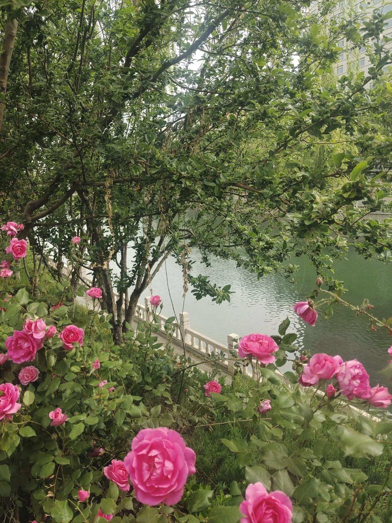 下联： 清风送蝉鸣。