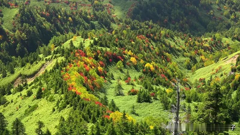 写作一定要有文字功底才能写吗? 写作不一定要有文字功底才能写。很多人觉得没功底就