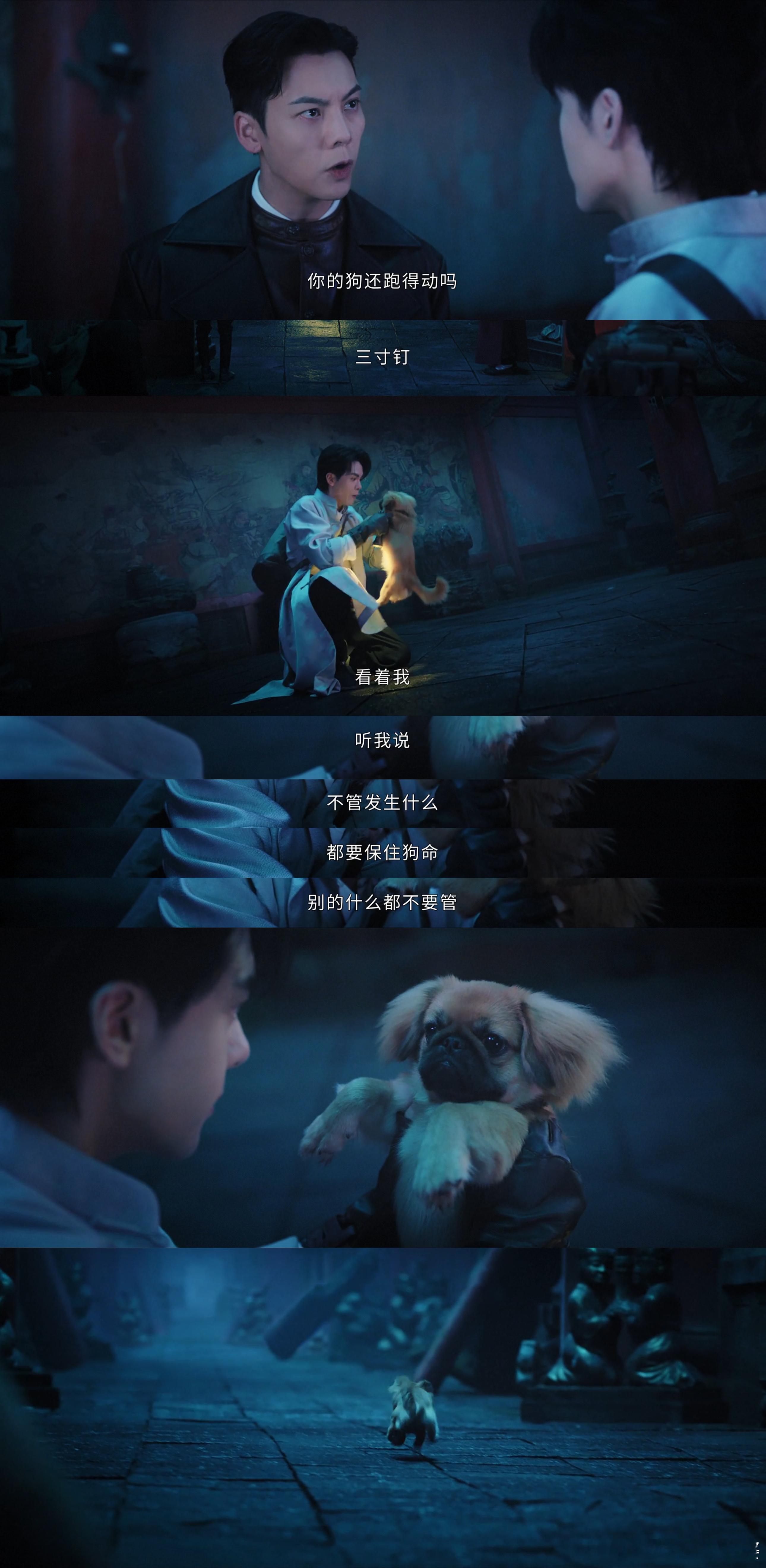 九门汪汪队立大功九门 九门这狗狗设定太绝了！不是背景板，而是真正的战力担当，三寸