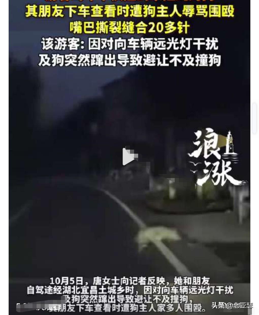 法治社会，竟然敢打，那就等着被制裁吧。
近日，女子驾车撞狗后友人遭殴打。

这种