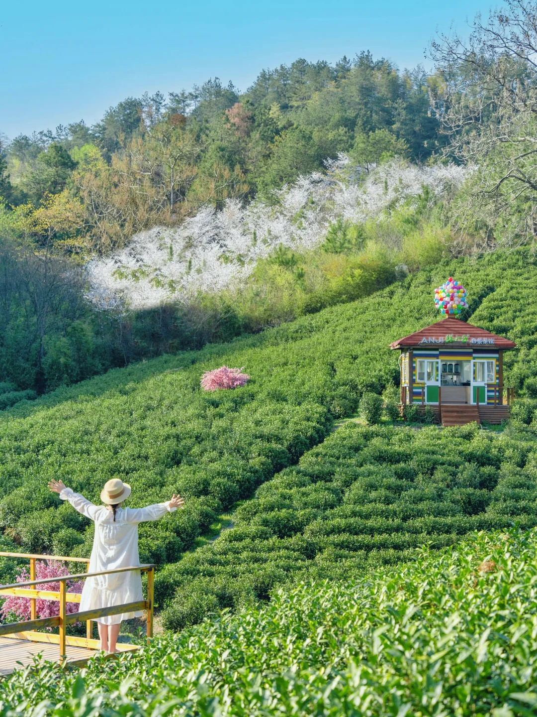 去99次都不够‼️分享我最爱的安吉2天1晚路线